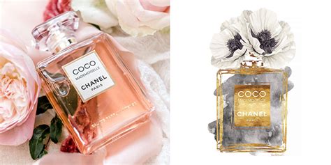 chanel en iyi kokusu